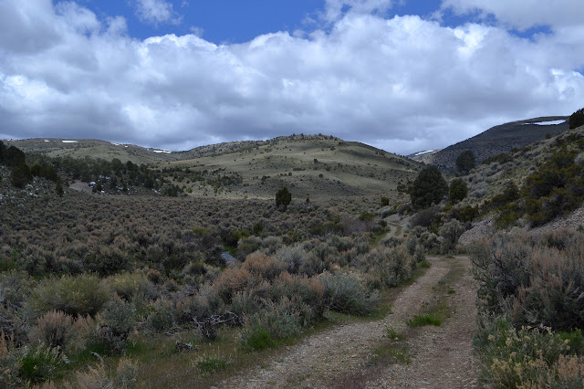 open space and hills