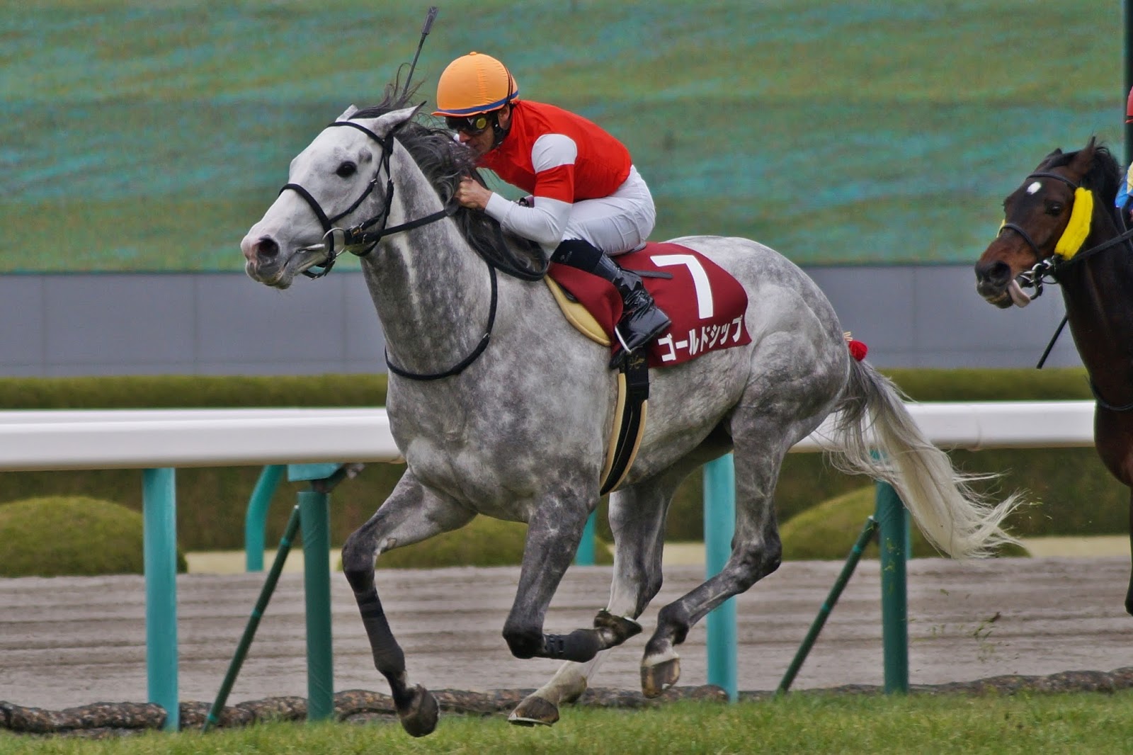 ちとせ 競馬写真撮影記 3 17 阪神大賞典 ゴールドシップ など 阪神競馬