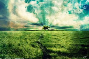 Field_Of_Dreams_by_Fi2_Shift