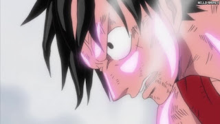 ワンピース アニメ エニエスロビー編 307話 ルフィ Monkey D. Luffy | ONE PIECE Episode 307 Enies Lobby