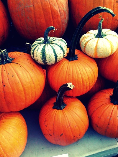 Punkins-1