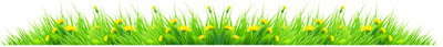 Spring Divider 2023 ©BionicBasil® Midweek News