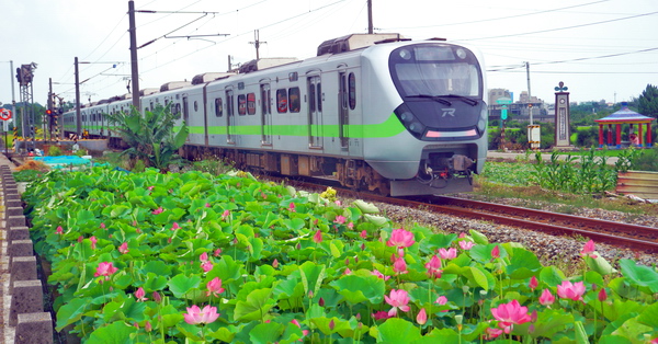 苗栗通霄五南里農福道路鐵道火車荷花拍攝位置，荷花火車同框