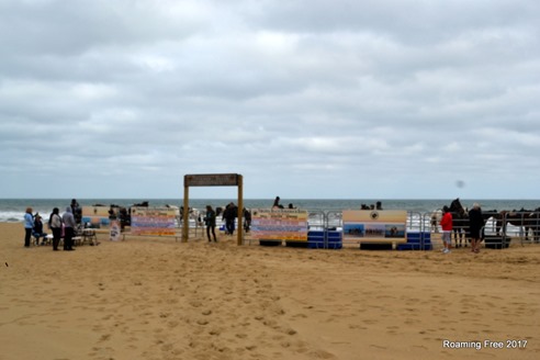 Horse tours on the beach