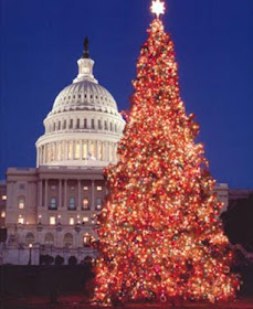 Christmas Tree Washington