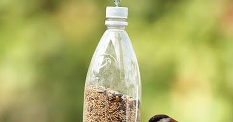 Nature Study Lessons: Summer Project: Bird Feeder