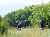 Sculptures at The Terence Coventry Sculpture Park