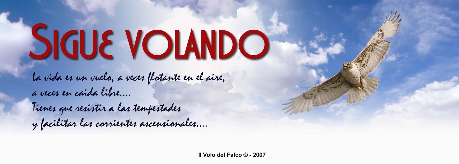 Il Volo del falco