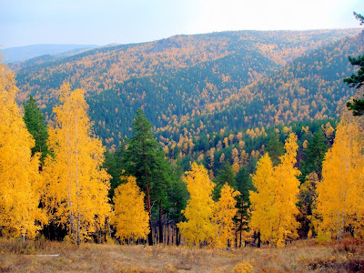 nature in Russia