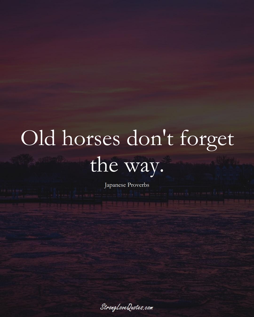 Old horses don't forget the way. (Japanese Sayings);  #AsianSayings