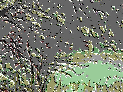 apple tree topography