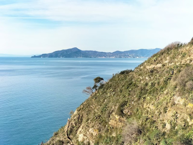 panorama verso promontorio Portofino