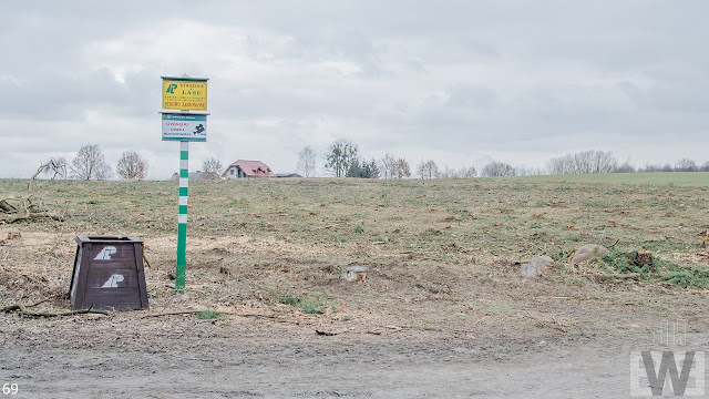 Wycinka drzew pomiędzy Pawłówkiem a Tryszczynem, obwodnica Bydgoszczy