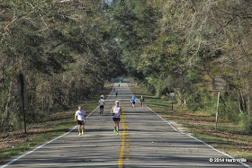 Gulf Winds Track Club's 2014 Tallahassee Ultradistance Classic