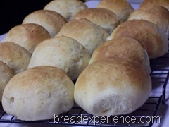 orange-buttermilk-dinner-rolls 021
