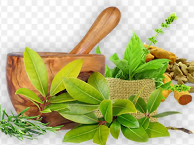 Tuyển sinh cao đẳng, liên thông, văn bằng 2 ngành Y học cổ truyền tại Tỉnh Đồng Tháp