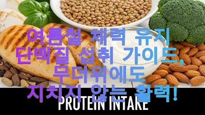 여름철 체력 유지 단백질 섭취 가이드, 무더위에도 지치지 않는 활력!