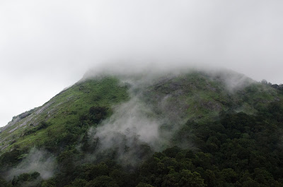 Nelliyampathy Kerala