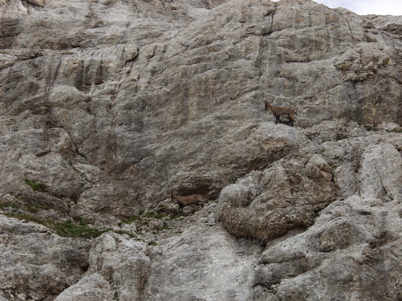 P8163814