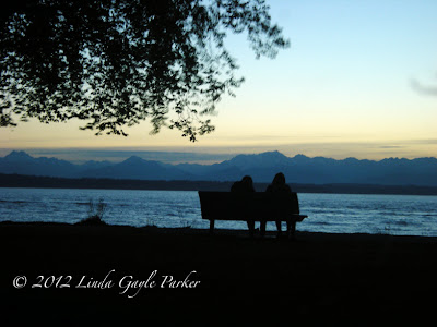 Motion Study Series, Linda Gayle Parker, Dusk at Golden Gardens Park, Long Exposures: couple on a bench by the water, talking