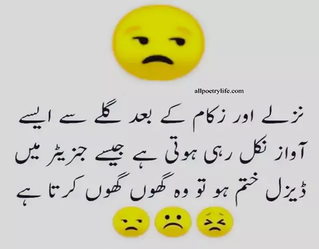 best-funny-poetry-in-urdu-funny-quotes-jokes-status-image