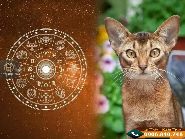 Bởi khôn khéo và hoạt bát, người tuổi Mão thường dễ được yêu mến