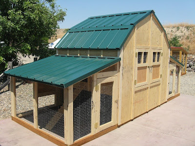 Ask Bee - What Size Coop Do I Need?