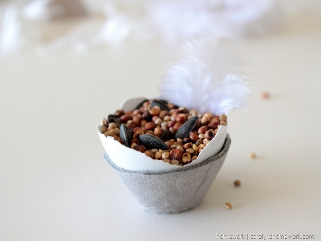 Wedding Birdseed in Eggshells via homework - carolynshomework (4)