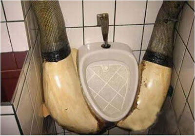 unusual toilets