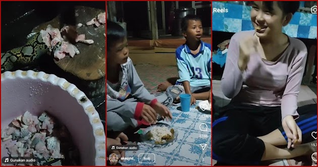 Wanita Ini Masak Rica-Rica Ular Piton untuk Disantap Sekeluarga Ini Viral