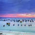 Khách du lịch chớ bỏ qua những bãi biển đẹp nhất khi du lịch Phan Thiết