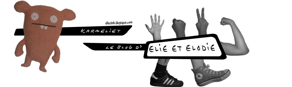 Karmeliet : le blog d'Elie et Elodie