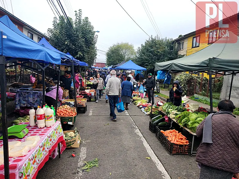 Ruta de las Ferias: sábado 22 de abril - Feria PAC Osorno