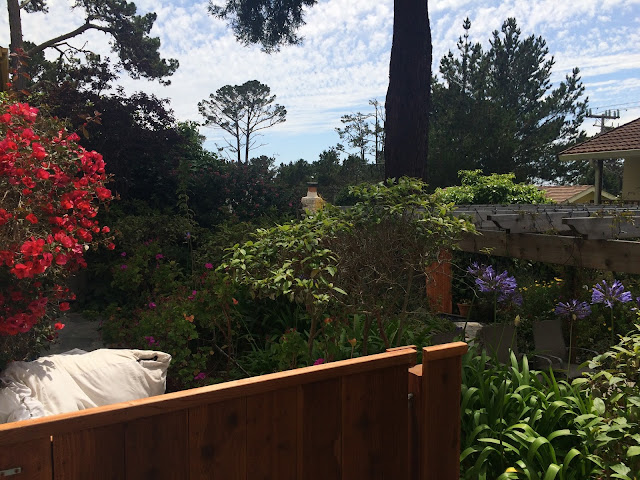 Gardens at the Vendange Carmel Inn and Suites