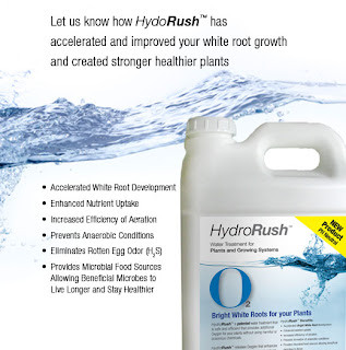 Free HydroRush Sample