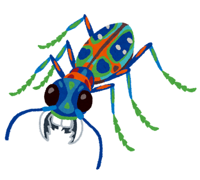 ハンミョウのイラスト