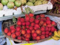 IMG 0506