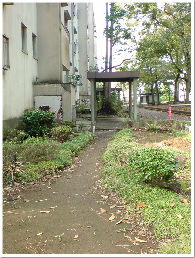 20111112_120025