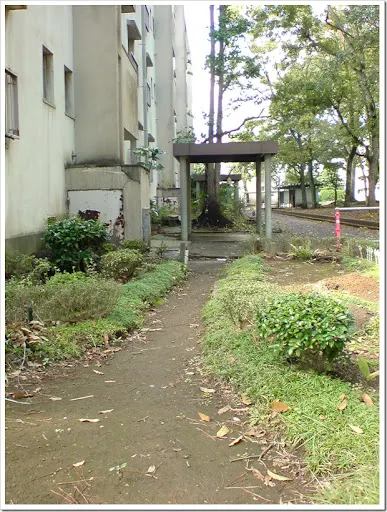 20111112_120025