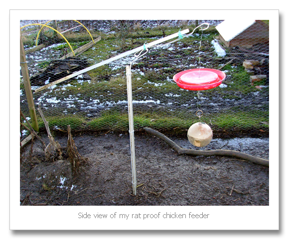 How To Make Your Own Deer Feeder | Home Improvement