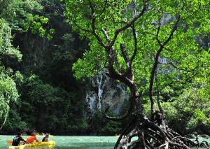 Koh Phi Phi Leh