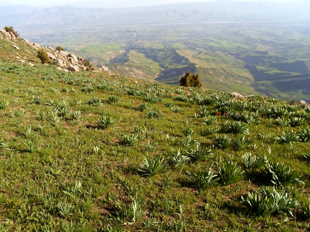 Kharangoni gorge and ridge, 1 day hike, Varzob, mountains of Tajikistan