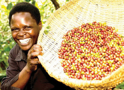 this coffee farmer is proud of his work