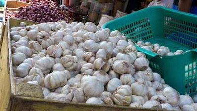 Harga Bawang Putih Melonjak di Sawahlunto, Ini Langkah Pemerintah Kota