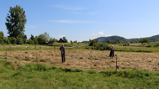 Villagers cutting their hay