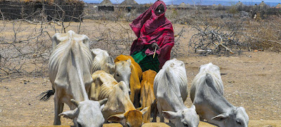 La comida, un derecho humano esencial