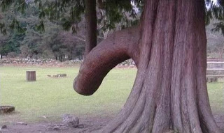 Sometime nature is very naughty