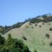 View album