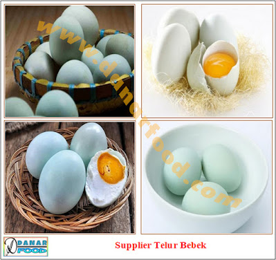 Agen Telur Bebek / Reseller Telur Bebek / Distributor Telur Bebek / Produsen Telur Bebek / Supplier Telur Bebek / Pabrik Telur Bebek / Dealer Telur Bebek / Importir Telur Bebek / Eksportir Telur Bebek / Dropshipper Telur Bebek / Industri Telur Bebek / Stockist Telur Bebek / Perusahaan Telur Bebek / Grosir Telur Bebek / Kios Telur Bebek / Stand Telur Bebek / Pemasok Telur Bebek / Pedagang Telur Bebek / Penyalur Telur Bebek / Penyuplai Telur Bebek / Toko Telur Bebek / Depot Telur Bebek / Gerai Telur Bebek / Kedai Telur Bebek / Penjual Telur Bebek / Warung Telur Bebek / Jual Telur Bebek / Beli Telur Bebek / Usaha Dagang (UD) Telur Bebek / Perseroan Terbatas (PT) Telur Bebek / Commanditaire Vennontschap (CV) Telur Bebek / Pengusaha Telur Bebek / Juragan Telur Bebek / Wirausaha Telur Bebek / Wiraswasta Telur Bebek / Usahawan Telur Bebek / Saudagar Telur Bebek / Penjaja Telur Bebek / Toko Online Telur Bebek / Broker Telur Bebek / Bakul Telur Bebek / Depo Telur Bebek / Depo Waroeng Telur Bebek