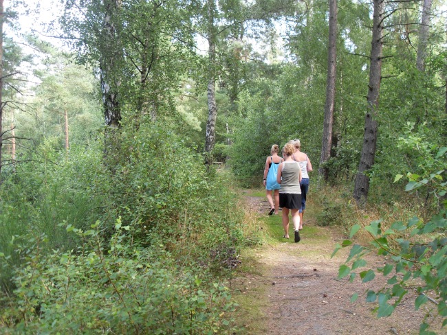 Rubinsøen